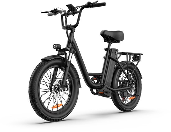 20 inch Elektrische fiets(155-195 cm) - 48V 13Ah Verwisselbare Accu tot 100KM -250 W motor - 20inch - LCD Scherm - 25 km/u - 7 Versnellingen - Elektrische Fietsen voor Heren en Dames - Groente Zwart van GUNAI