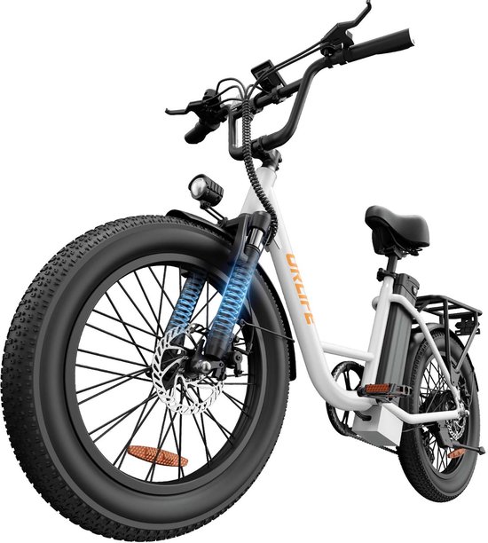 20 inch Elektrische fiets(155-195 cm) - 48V 13Ah Verwisselbare Accu tot 100KM -250 W motor - 20inch - LCD Scherm - 25 km/u - 7 Versnellingen - Elektrische Fietsen voor Heren en Dames - Wit