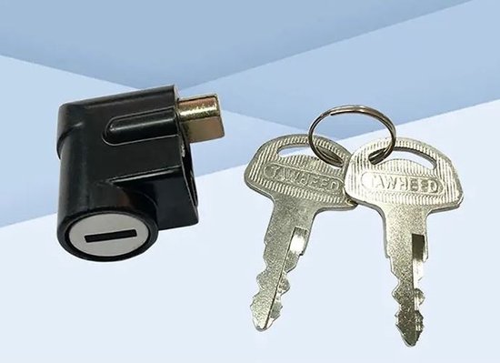 Accu slot elektrische fiets - E-bike batterij slot - Anti diefstal slot - Accuslot- Veiligheidsslot - Cilinder lengte 15mm van e-Bike Safety Lock