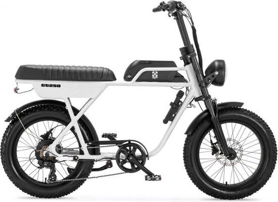 AGM GT250 - Fatbike - 12.8Ah - Wit - Hydraulische remmen van AGM