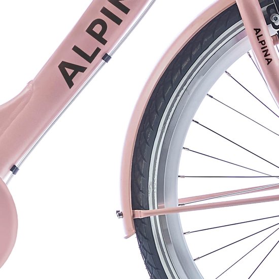 Alpina Spatbord set 26 Clubb gold met matt van Alpina