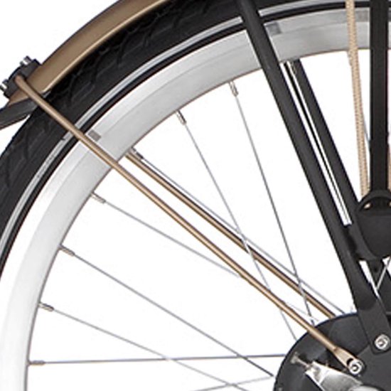 Alpina Spatbordstang achter 24 Curve matt gold van Alpina