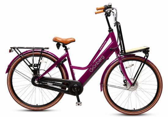 Amsterdam Transport e-bike 50-60 km actieradius