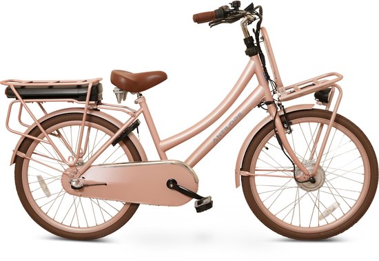 Antilope Cargo Plus N3 Elektrische Transportfiets 24 Inch 40 Cm Dusty Rose van Antilope