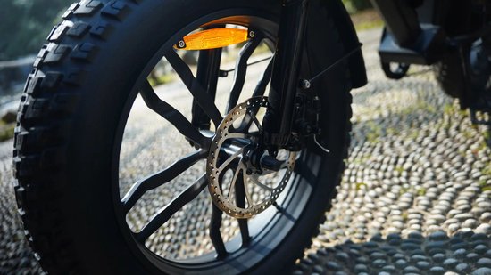 Ape Ryder Colobus Fatbike - Elektrische fiets 20 inch - All Terrain E-bike voor Heren/Dames - van Ape Ryder