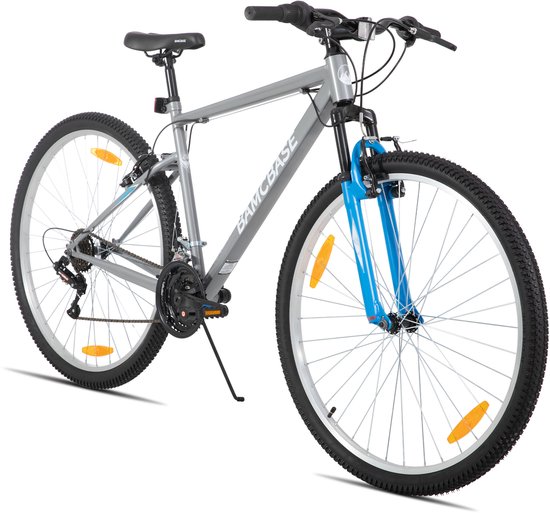 BAMCBASE Agave Voorvering Mountainbike - 29 inch - Carbonstalen Frame - 18 Versnellingen - Handrem - V-Brake - Spatborden - Grijs - Geschikt voor buitenactiviteiten in de lente van Bamcbase