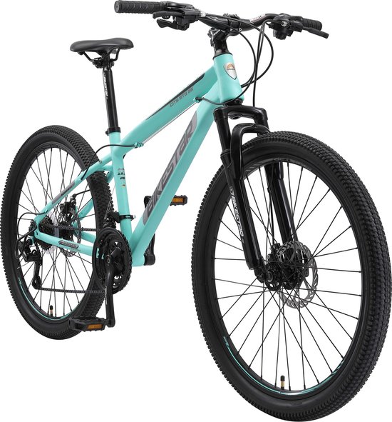 Bikestar Hardtail Staal Mountainbike - 26 inch - 21 speed - schijfremmen