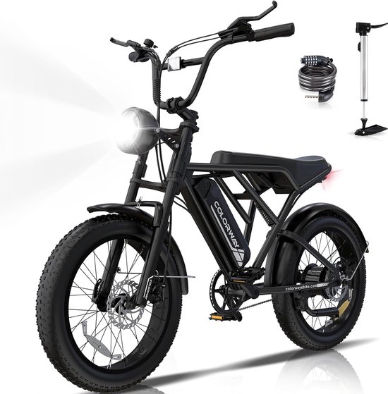 Colorway Elektrische Fiets BK29G - 20*4.0 Inch Fatbike - Mountain Snow EBike met Afneembare 36V 12Ah Lithium Batterij - City Commuter E-Bike met 250W Motor - IP54 Waterdicht van Colorway