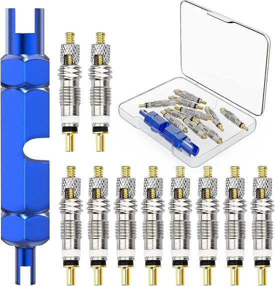 Complete Presta Ventiel Kern Verwijderingsset, 11-delige Fiets Ventiel Reparatie Kit voor Racefietsen en Mountainbikes, Inclusief Uitschuifsleutel en Reserveonderdelen