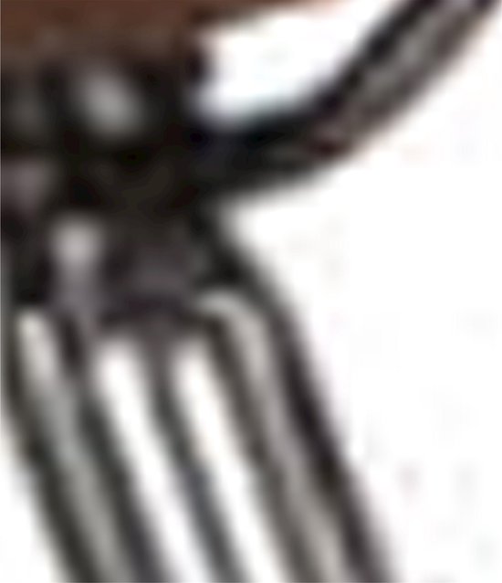 Cortina Zadelpen 28.6 x 300 cp van Cortina