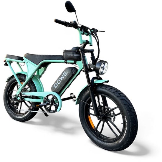 Dowe V9 Elektrische Fatbike Mint Groen | 250W | 25 Km/h | NFC | 17,5Ah Accu | Zonder gashendel | 100% legaal | Mint groene fatbike 2026 | Rijklaar | Range 60-100km van Merkloos