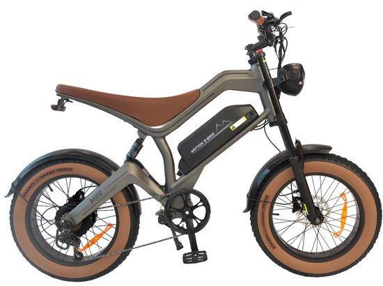 DYU Elektrische Fiets 20 Inch – 48V 18.2Ah Accu – 750W Motor – Actieradius tot 60 km – Schijfremmen – LCD Display – Unisex van Merkloos