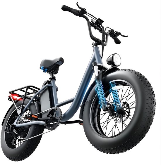 E20PRO 20"x4 elektrische fiets met uitneembare 48V 15,6Ah-accu