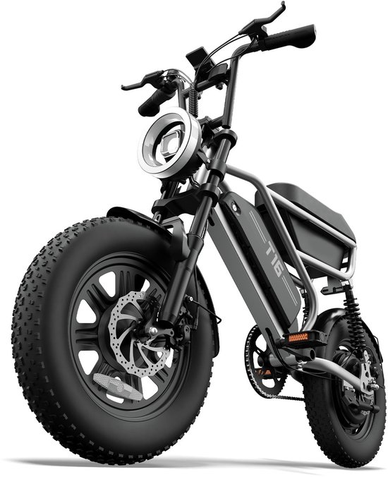 Elektrische Fatbike 16 x 3.0 Inch - 48V 15.6Ah - Tot 110 km Bereik - 250W Motor -Zilver