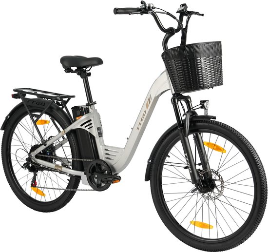 Elektrische Fiets TTGO C2 Pro - 250W Motor - 36V 18Ah Accu - Bereik 80-120km - 26" Banden Elektrische Stadsfiets - Shimano 7-Speed - 25km/u - Zilver van Merkloos