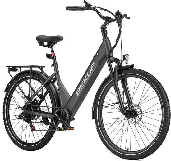 Elektrische Stadsfiets 28 inch -Comfort Lage Instap-75 km Actieradius-250W Motor-Shimano 7 Versnellingen-Verende Voorvork-Verende Zadelpen-LCD Display - rvork-Verende Zadelpen-LCD Display