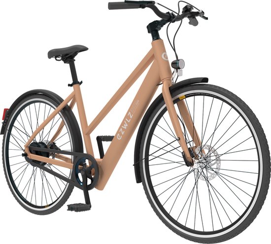 EZWLZ-Forenz L-Elektrische Fiets-50 km-klaar om te rijden van EZWLZ