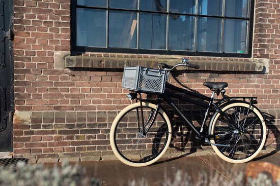 Fastrider Fietskrat Medium - Grijs - 22L van Basil