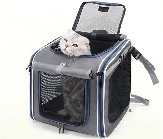 Fietsmand Hond – Hondenmand Fiets & Fietstas Hond - Zwart - Fietsmand Kat - Kattenmand Fiets – Draagbare Huisdierentas Rugzak – Geschikt voor Elektrische Fiets van Merkloos