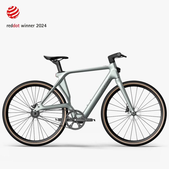 Fiido Air - Elektrische Fiets - Zilver - L