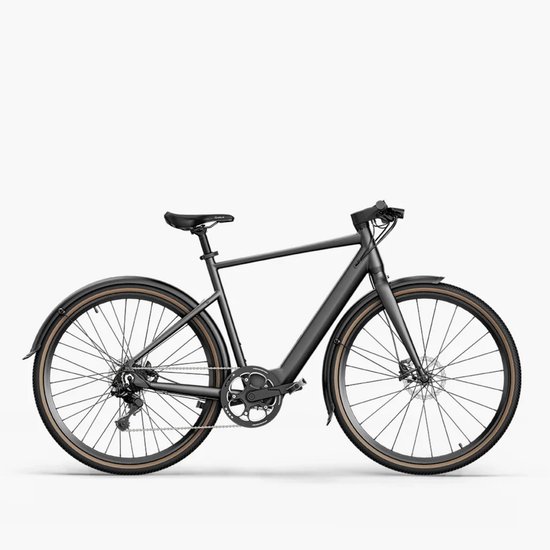 Fiido C21 - Elektrische Fiets - Grijs - L