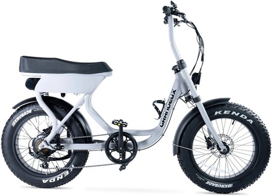 Grandeux Xcite Elektrische Fatbike - Lage Instap - Inclusief Bekerhouder - 20 Inch - 250W Motor - 7 Versnellingen - 50 km Actieradius - Hydraulische Schijfremmen - Grijs van Merkloos