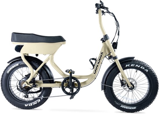 Grandeux Xcite Fatbike - lage instap - 20 inch - 250W motor - 50 km actieradius van Merkloos