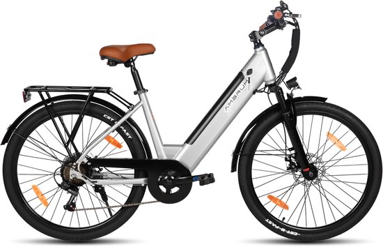 HILAND Elektrische Stadsfiets - 26 inch - E-bike - 250W Motor - 36V 7.8Ah Accu - 10 Versnellingen - Schijfremmen - Uniseks van Hiland