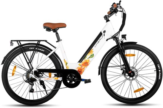 HILAND Elektrische Stadsfiets - 26 inch - E-bike - 250W Motor - 36V 7.8Ah Accu - 13 Versnellingen - Schijfremmen - Uniseks van Hiland
