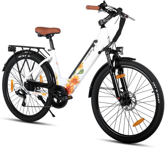 HILAND Elektrische Stadsfiets - 26 inch - E-bike - 250W Motor - 36V 7.8Ah Accu - 14 Versnellingen - Schijfremmen - Uniseks van Hiland