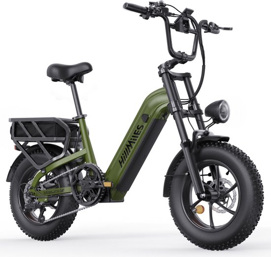HillMiles MileLink 1 Elektrische fiets 250W 25km/u met achterdrager voor zware lading, 16x4 brede banden hydraulische remmen stads en terreinfiets met 48V 18Ah accu, 65Nm, groen