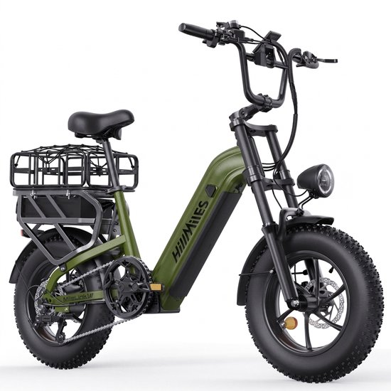 HillMiles MileLink 1 Elektrische fiets, 250W, 65Nm,bereik tot 250 km, dubbele accu 48V 18+22,5Ah, brede banden, hydraulische remmen, grote achterdrager, stad & terrein, met achtermand, Groen