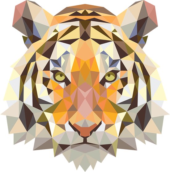 HOOODIE Cushie Tiger van HOOODIE