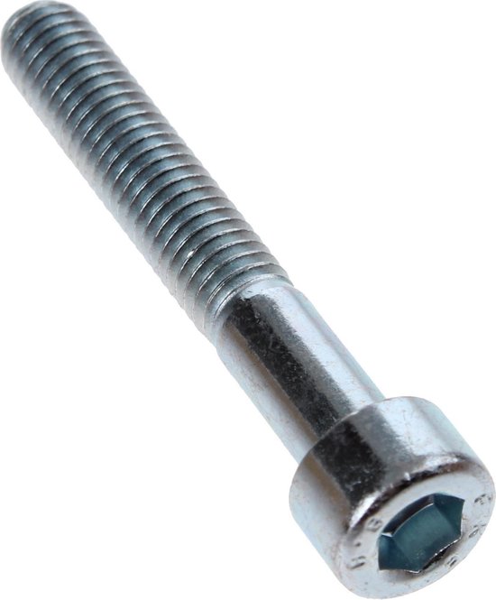 INBUSBOUT M6 X 40 DIN912 (12 STUKS) (214640) van GAMMA