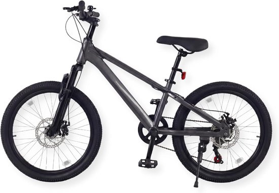 Kinder Mountainbike 20 Inch Lichtgewicht Aluminium Frame Grijs