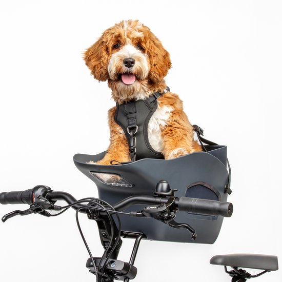 Kvisp - Fietsmand voor Honden Voorop - Midnight Gray - S Harnas - Voor honden tot 12kg - Ook geschikt voor Elektrische Fietsen - Honden Fietsmand - Veiligheid Voorop - Bekroond ontwerp van Merkloos