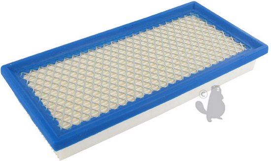 Luchtfilter voor BRIGGS & STRATTON 185400 (9 PK - Vanguard). Vervangt origineel: 710266 - L: 213mm, br: 102mm, H: 30mm. van GRANIT