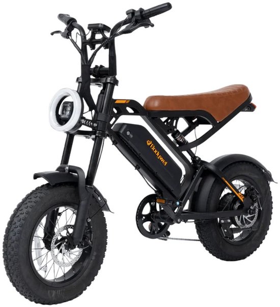M16 Elektrische Fiets-16 x 4.0 Inch Fatbike Banden - 48v 13.5 Ah - 250w Motor - Actieadius 50 km-Dubbele schijfremmen