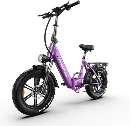 Maxtron Literider 2.0 Opvouwbare Elektrische Fiets–648Wh Accu–20×4.0 Inch Fatbike Banden–Actieradius tot 90 km–Voor- en Achter Hydraulische Schijfremmen–MOZO Aluminium Verende Voorvork met Lock-out– Elektrische Stadsfiets –Max. Belasting 180 kg–Paars van Merkloos
