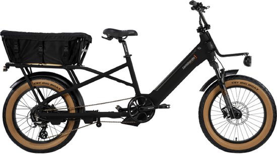 MONDELLO 20 INCH H40 LONGTAIL E-BIKE 10 SPEED BLACK van Merkloos
