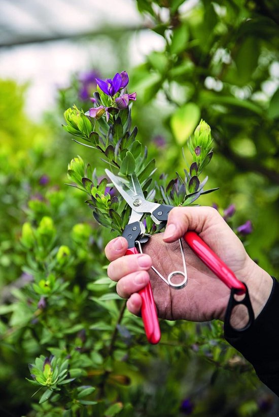 Oogst-leesschaar voor fruit-bloem-groentestelen - compacte stalen schaar - recht verchroomd blad - 190 mm lengte - nr. 322 van Felco