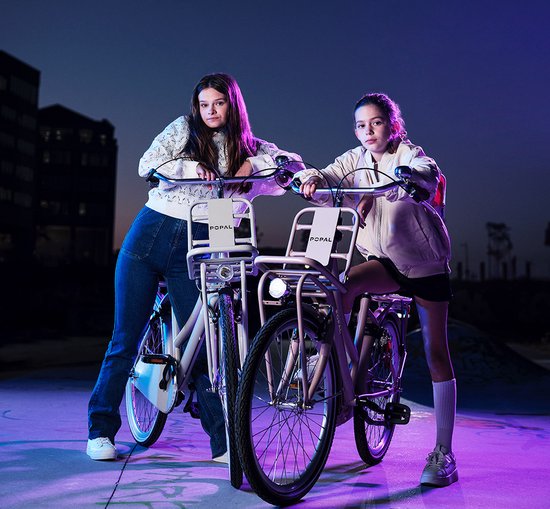 Popal Daily Dutch Basic+ N3 - Kinder Transportfiets - 26 Inch - Mat Blauw van Popal