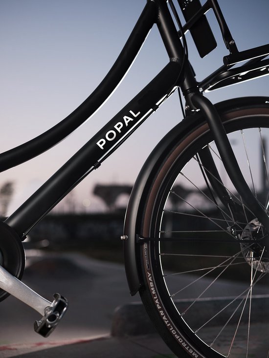 Popal Daily Dutch Prestige N3 Transportfiets - Stadsfiets Dames - 47 centimeter - Mineral Green