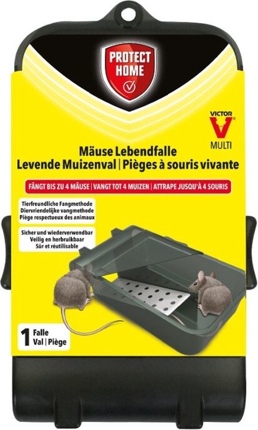 Protect Home Muizenval Catch & Hold kunststof van Protec