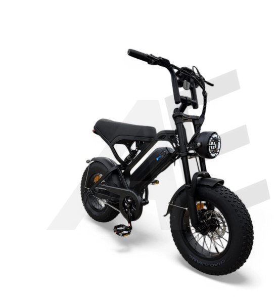 QmWheel V20 Mini Fatbike Kinderfatbike met Hydraulische Remmen - Zwart van Merkloos