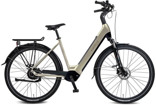 Rabeneick Comfort elektrische Stadtfiets 28 inch, elektrische fiets, stadsfiets, middenmotor 75 Nm, pedelec met 36V 14,5Ah accu, 522Wh, maximaal 150 km bereik champagnegoud