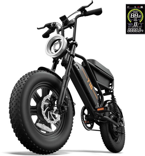 T16 16" x 3" elektrische fiets met uitneembare 48V 13Ah-accu