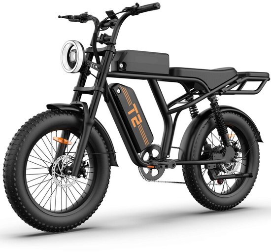 T2 20" x 4 elektrische fiets met uitneembare 48V 15.6Ah-accu