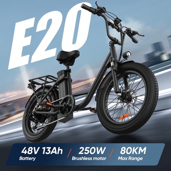 URLIFE E20 20" x 3 elektrische fiets met uitneembare 48 V 13 Ah-accu