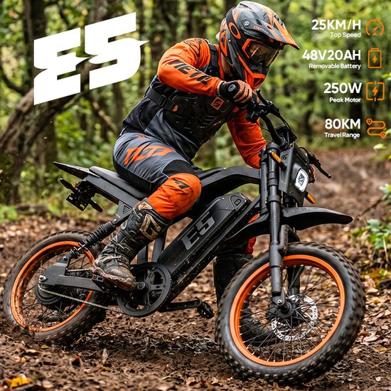 URLIFE E5 elektrische fiets met uitneembare 48V 20Ah-accu